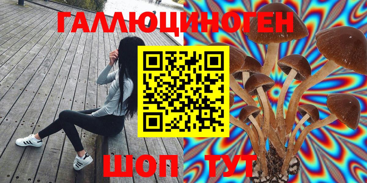 Михайловка  Галлюциногенные грибы ЛСД  Вход с VPN 