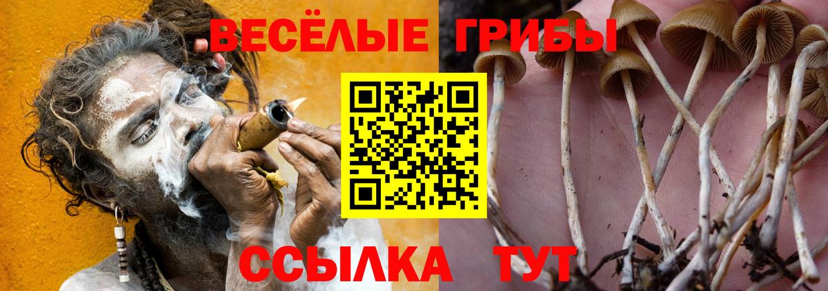 А ПВП СК кристаллы  ГАШИШ  ГАШИШ  Конопля  Вход с VPN  Михайловка  NBOMe  Лсд 25  МЕФ   Cocaine  Мефедрон 